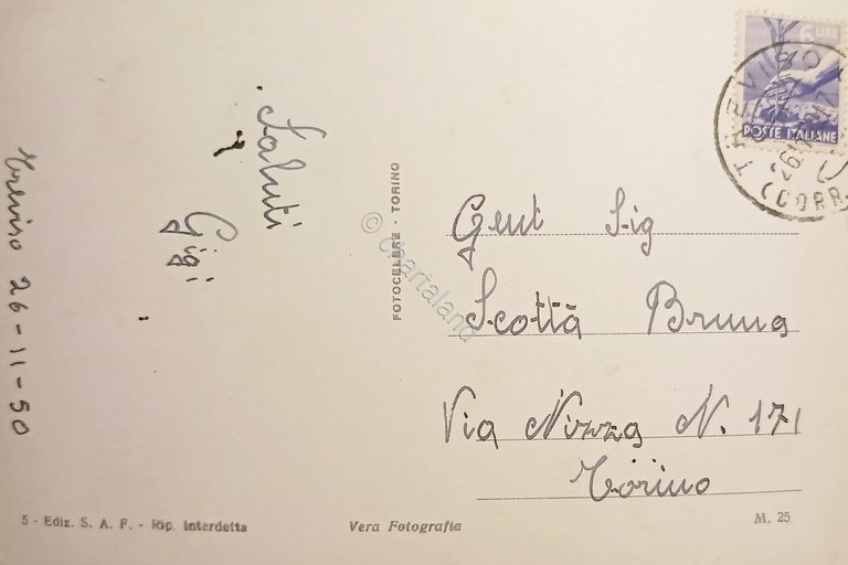 Cartolina - Treviso - Panorama e Viale Cesare Battisti - …