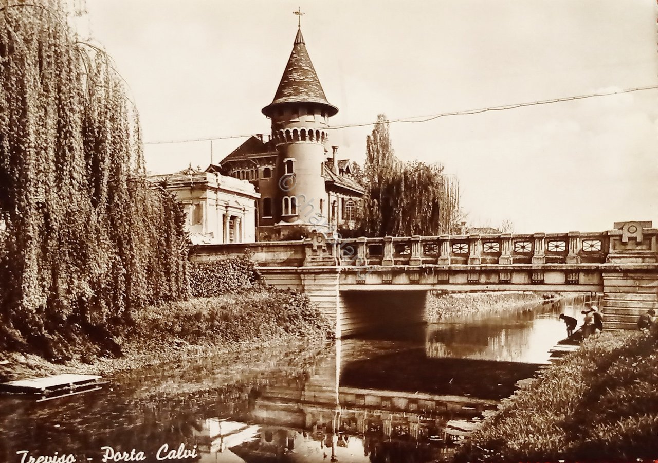 Cartolina - Treviso - Porta Calvi - 1949