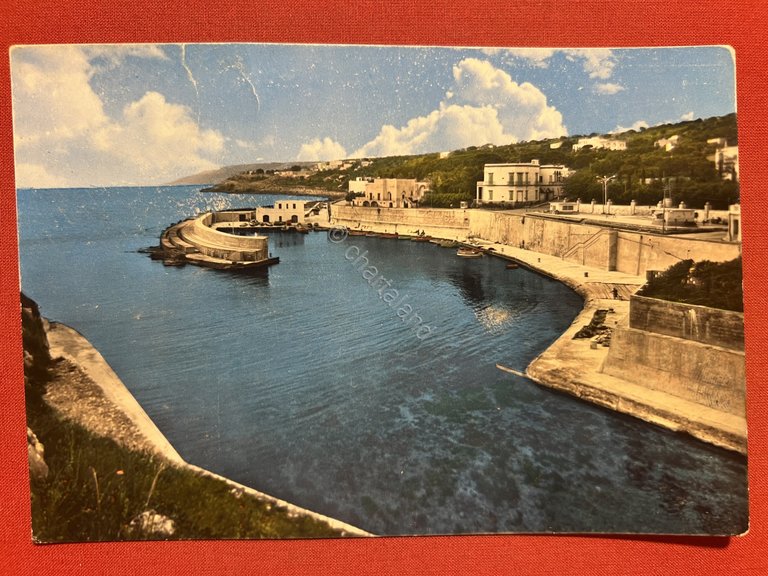 Cartolina - Tricase ( Lecce ) - Il Porto - …