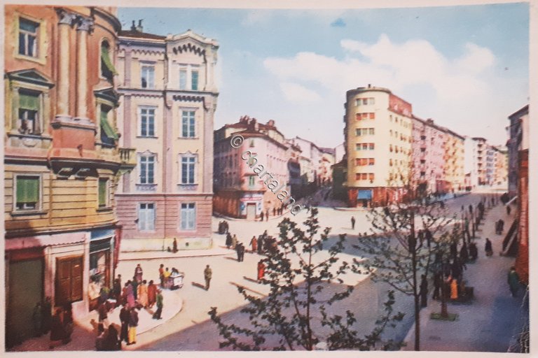 Cartolina - Trieste - Viale Sidney Sonnino - 1984