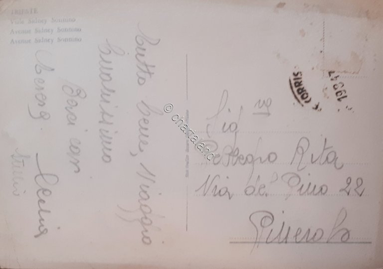 Cartolina - Trieste - Viale Sidney Sonnino - 1984