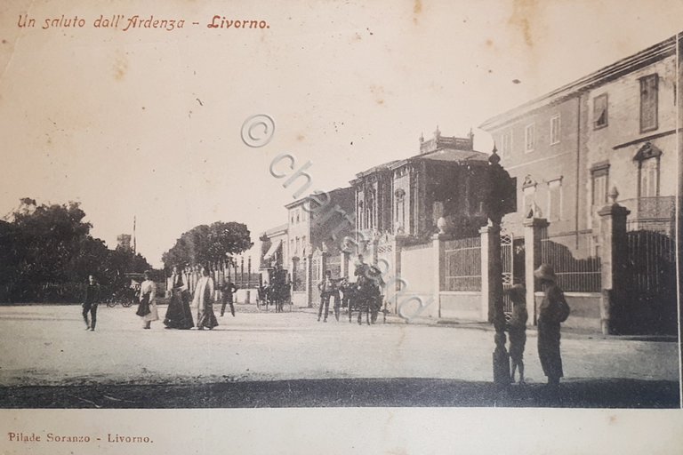 Cartolina - Un Saluto dall'Ardenza - Livorno - Pilade Soranzo …