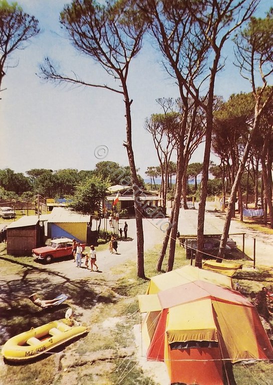 Cartolina - Vada ( Livorno ) - Camping - La …