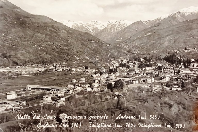 Cartolina - Valle del Cervo - Panorama Generale - Andorno …