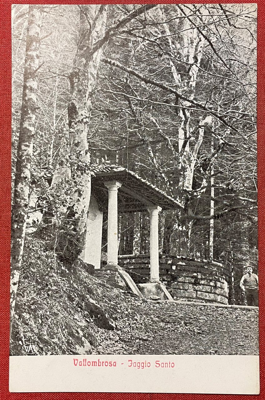 Cartolina - Vallombrosa - Faggio Santo - 1920 ca.