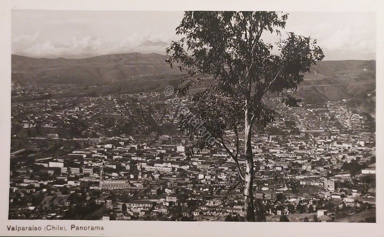 Cartolina - Valparaiso ( Chile ) - Panorama - 1950 …