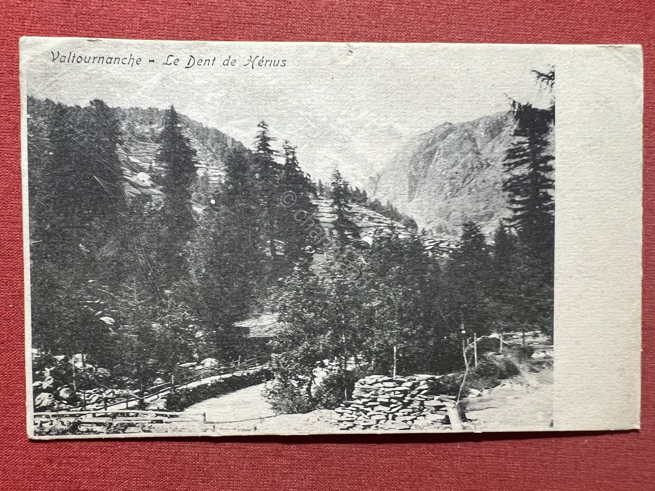 Cartolina - Valtournenche - Le Dent de Hénus - 1910 …