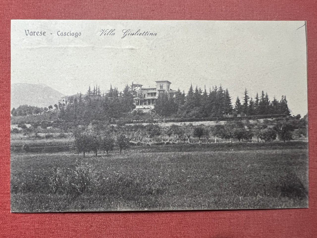 Cartolina - Varese - Casciago - Villa Giulietta - 1920 …