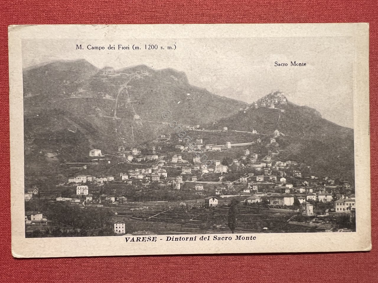 Cartolina - Varese - Dintorni del sacro Monte - 1919