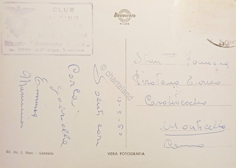 Cartolina - Veduta dalla Porro ( Valmalenco ) - Vedute …