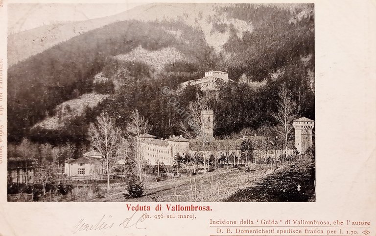 Cartolina - Veduta di Vallombrosa - 1905