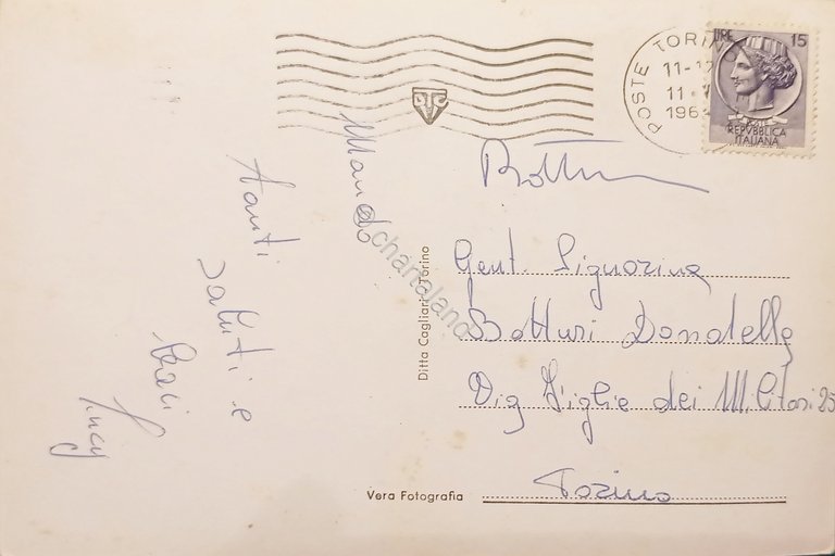 Cartolina - Venaria Reale - Viale Buridani - 1964
