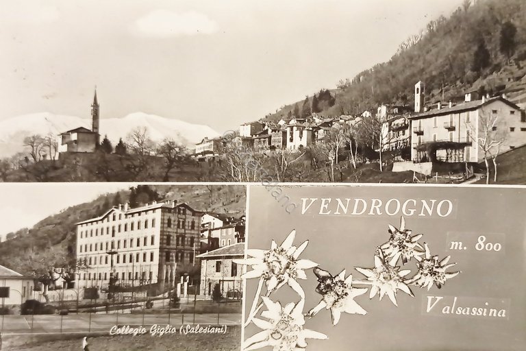 Cartolina - Vendrogno Valsassina - Vedute diverse - 1956