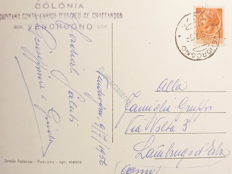 Cartolina - Vendrogno Valsassina - Vedute diverse - 1956