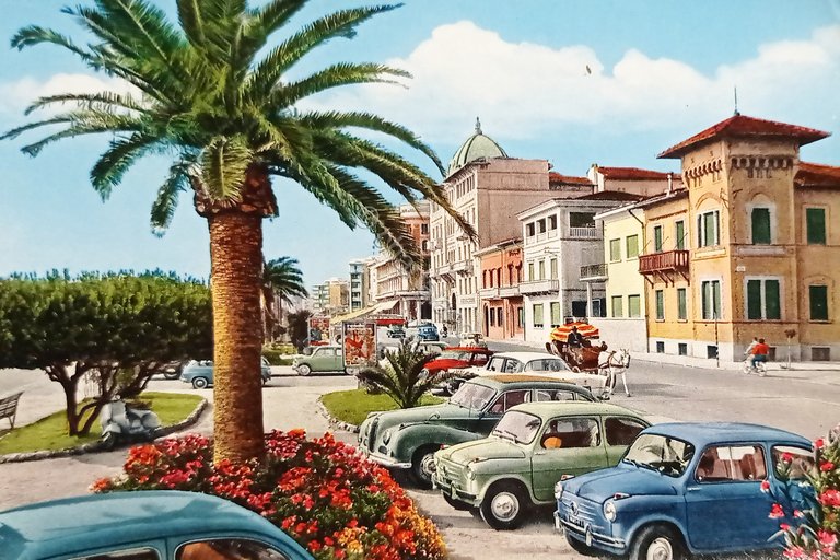 Cartolina - Viareggio - Viale Carducci - 1964