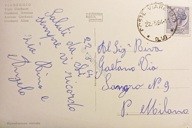 Cartolina - Viareggio - Viale Carducci - 1964