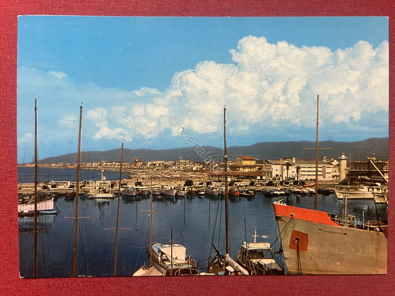 Cartolina - Viareggio ( Lucca ) - Panorama - 1964