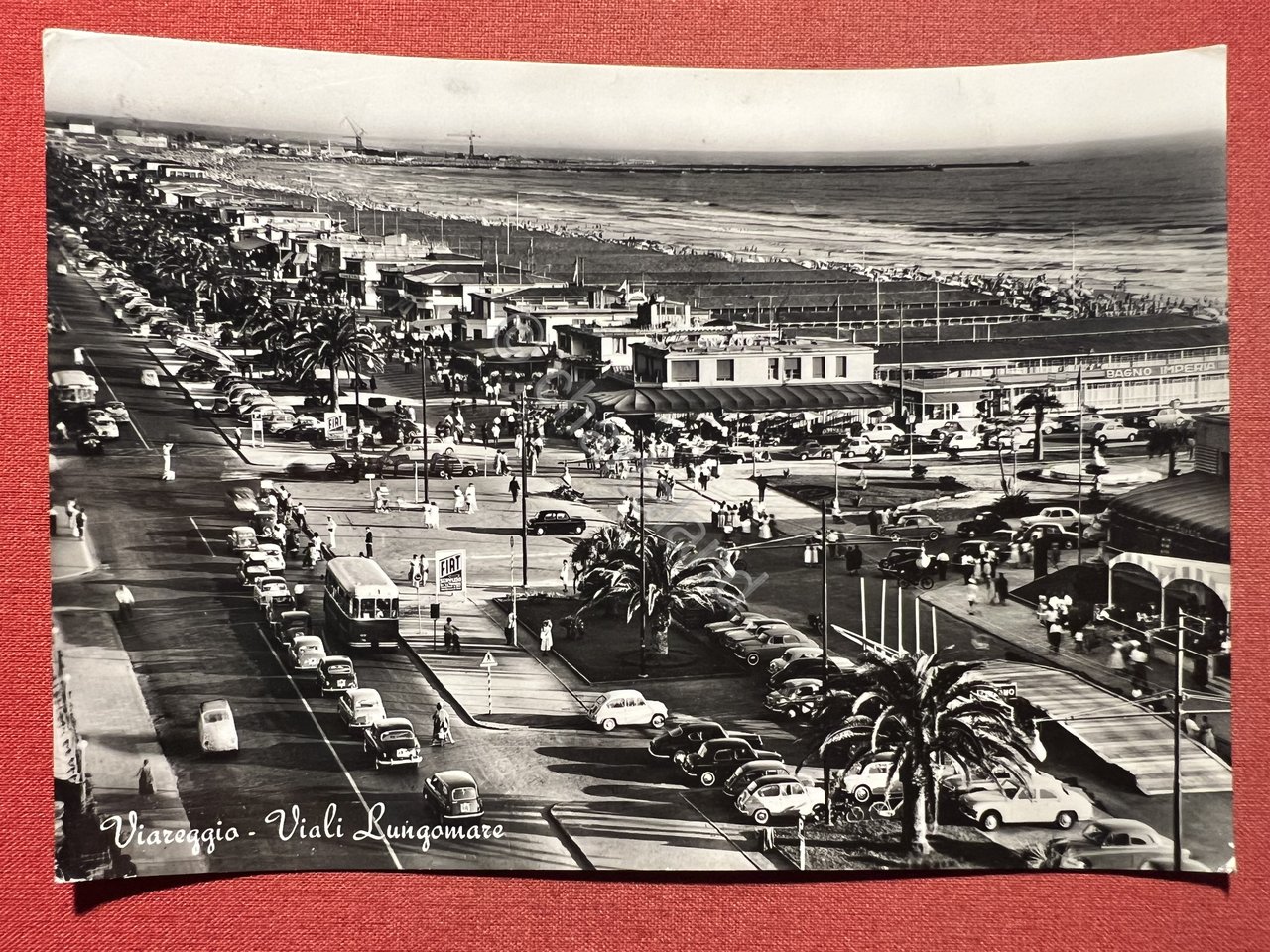 Cartolina - Viareggio ( Lucca ) - Viale Lungomare - …