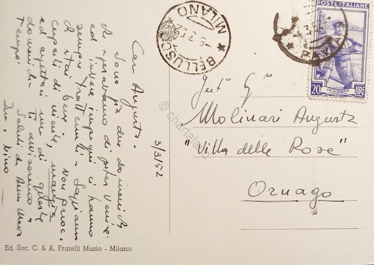 Cartolina - Vigevano - Panorama visto dal Duomo - 1952