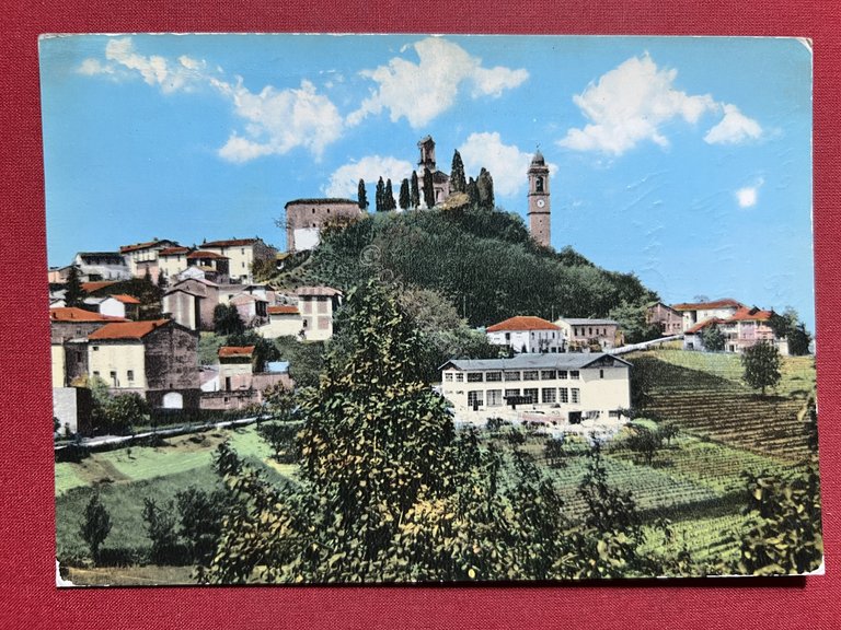 Cartolina - Vignale ( Alessandria ) - Panorama - 1969