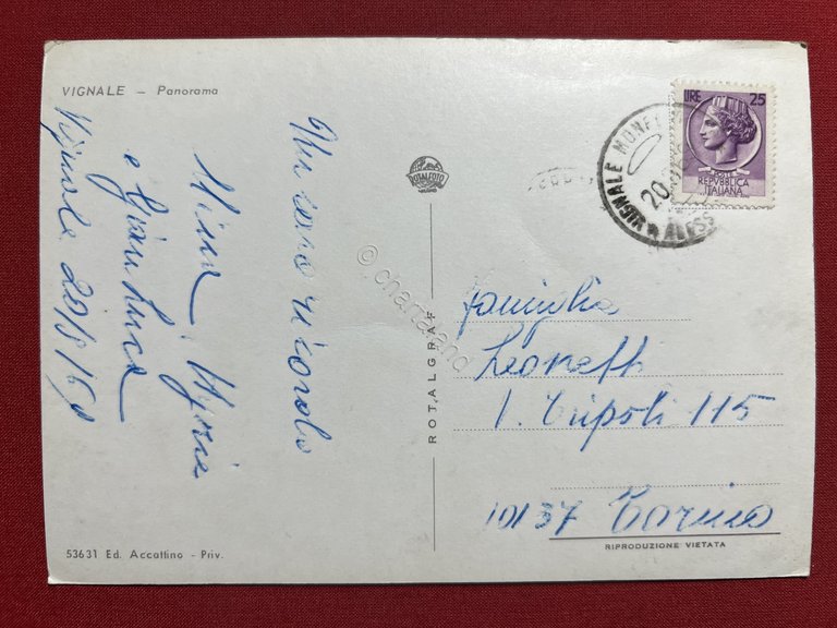 Cartolina - Vignale ( Alessandria ) - Panorama - 1969