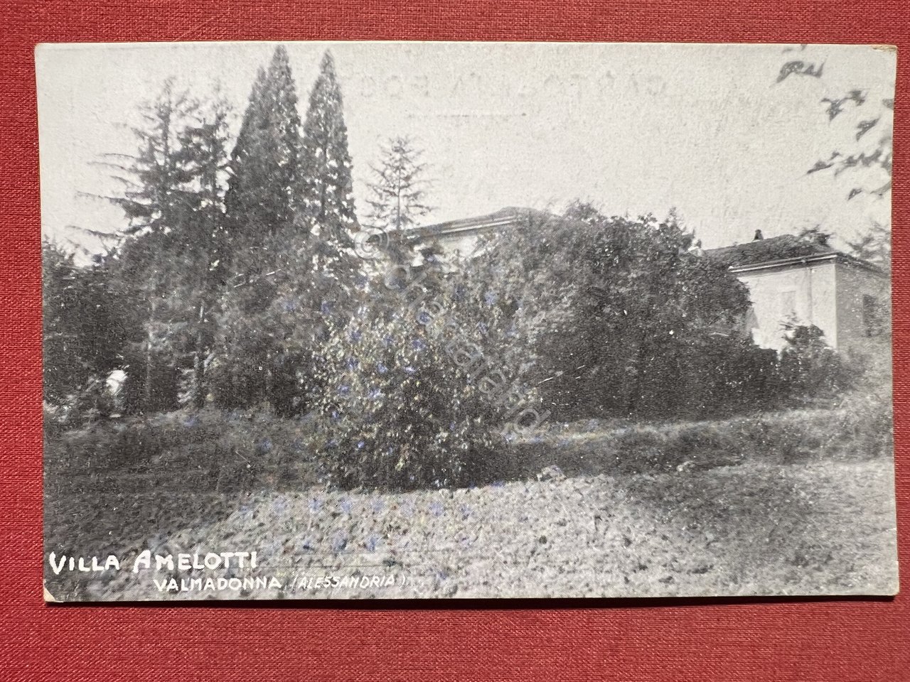 Cartolina - Villa Amelotti - Valmadonna ( Alessandria ) - …