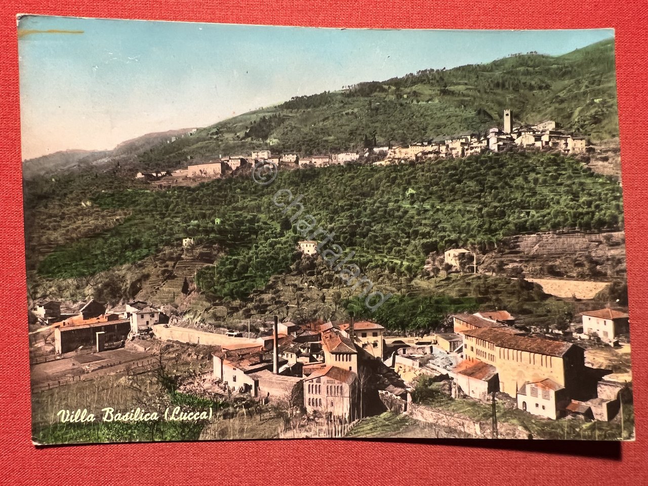 Cartolina - Villa Basilica ( Lucca ) - Panorama - …