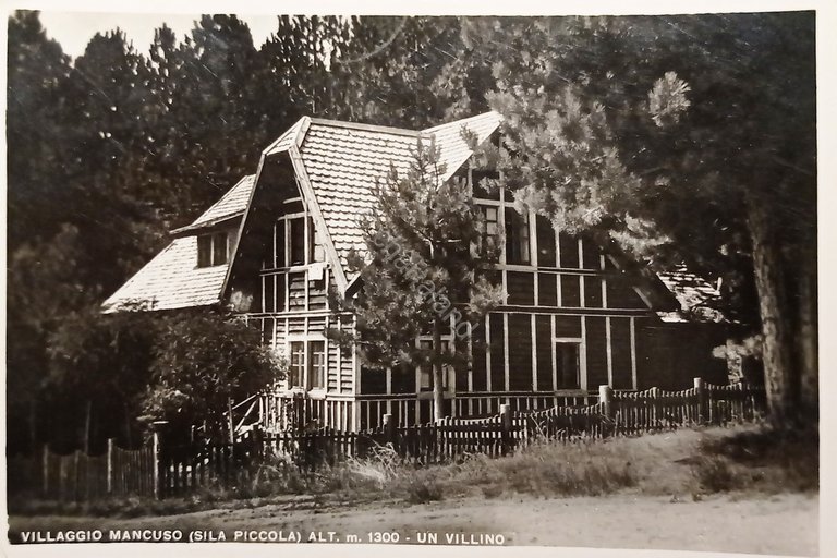 Cartolina - Villaggio Mancuso ( Sila Piccola - Catanzaro) - …