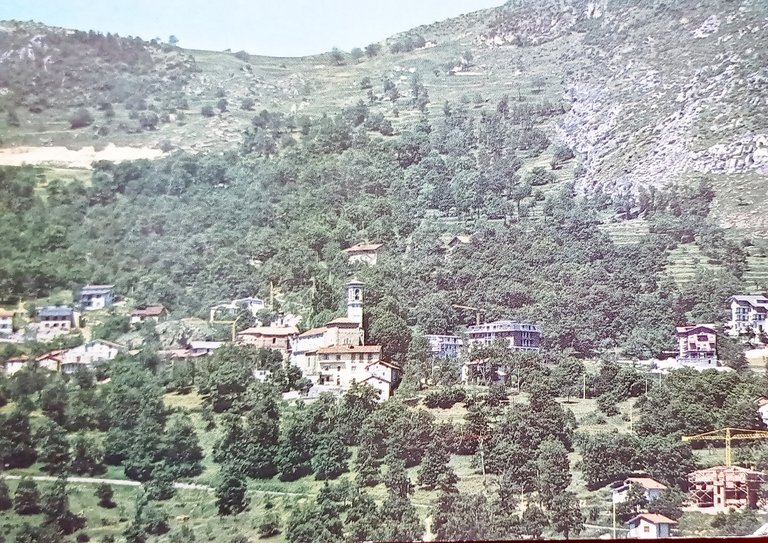 Cartolina - Viola ( Cuneo ) - Oasi di Quiete …