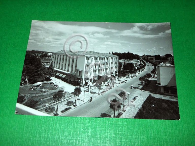 Cartolina Abano Terme - Viale delle Terme 1964