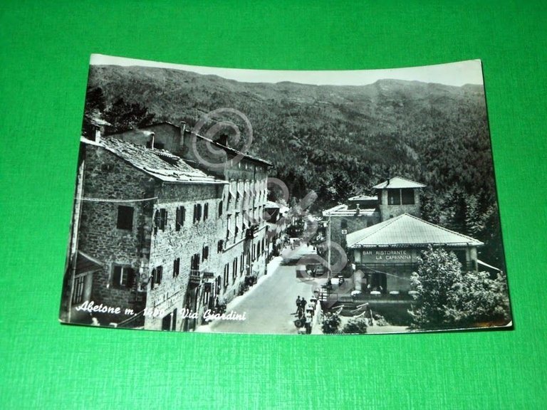 Cartolina Abetone -- Via Giardini -- 1955