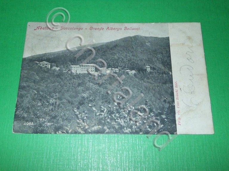 Cartolina Abetone - Boscolungo - Grande Albergo Bellucci 1904