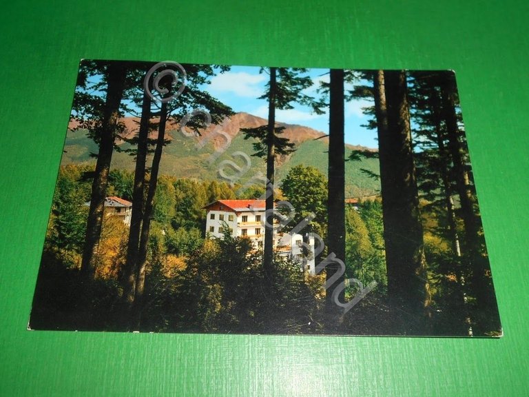 Cartolina Abetone - Le Regine 1966.