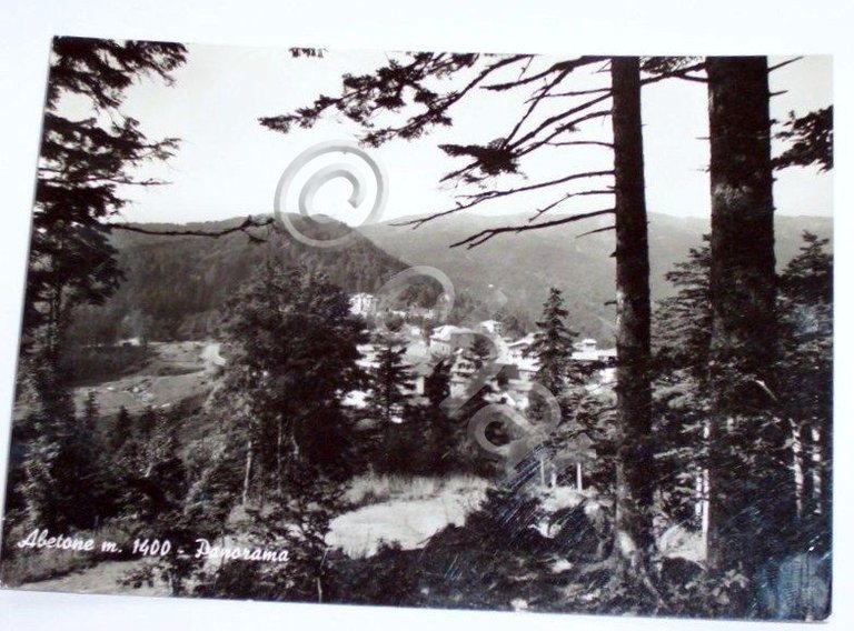 Cartolina Abetone ( Pistoia ) - Panorama 1965