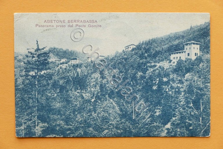 Cartolina Abetone Serrabassa - Panorama preso dal ponte Gomito - …