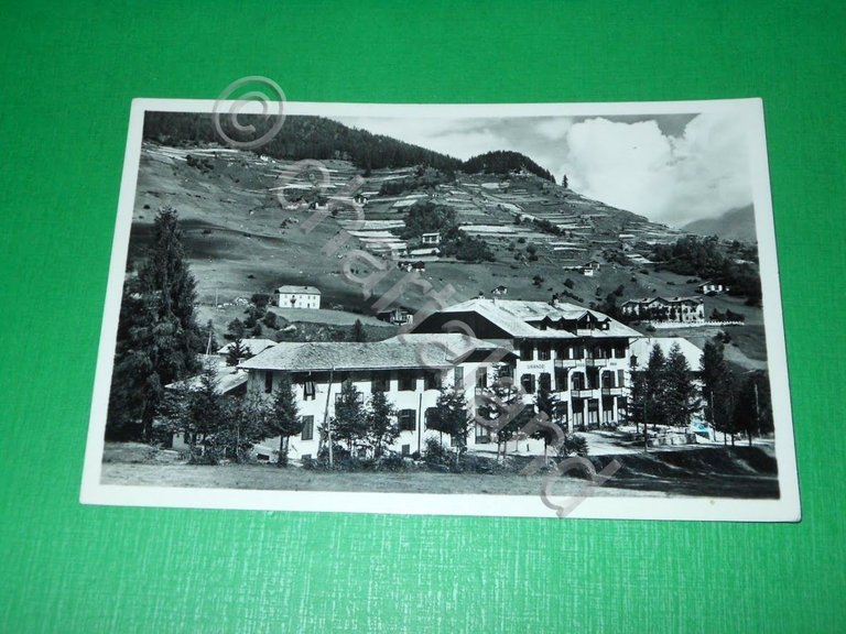 Cartolina Acidule di Peio ( Trento ) - Grande Albergo …
