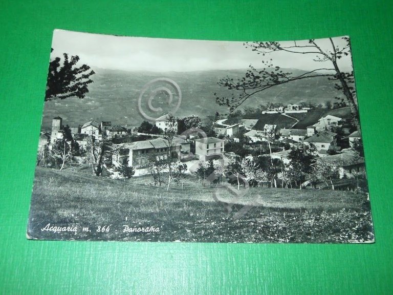 Cartolina Acquaria ( Modena ) - Panorama 1960