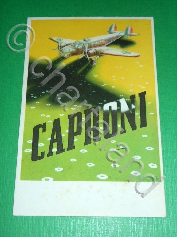 Cartolina Aeronautica - Aeroplano Caproni 135 bis.