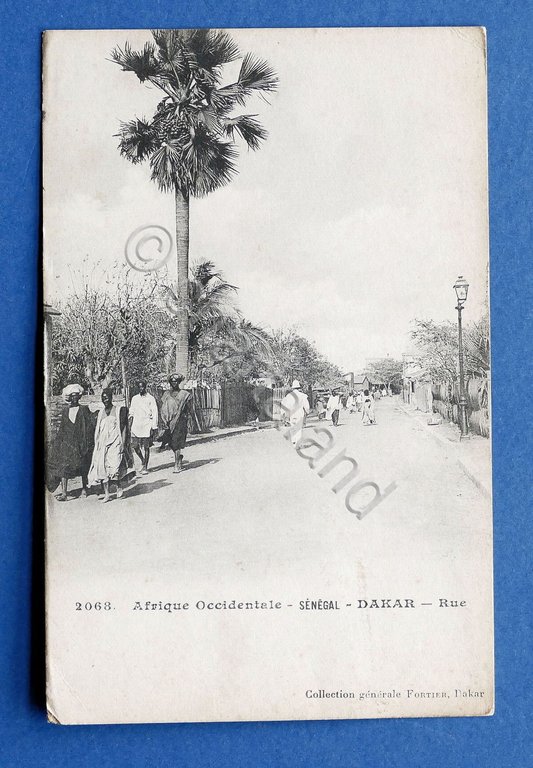 Cartolina Africa - Afrique Occidentale - Senegal - Dakar - …