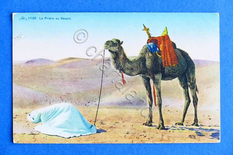 Cartolina Africa - La Priere au Desert - 1927
