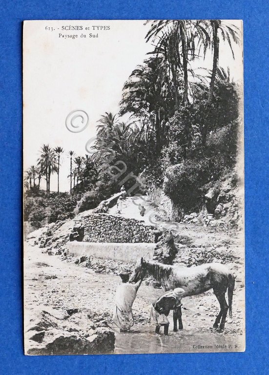 Cartolina Africa - Paysage du Sud