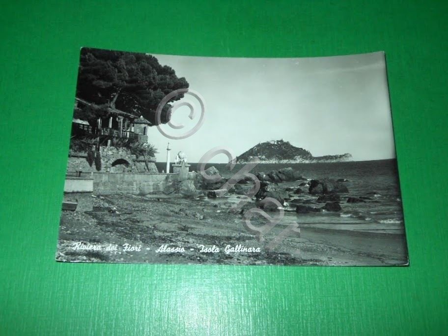 Cartolina Alassio - Isola Gallinara 1954 | Immagine principale