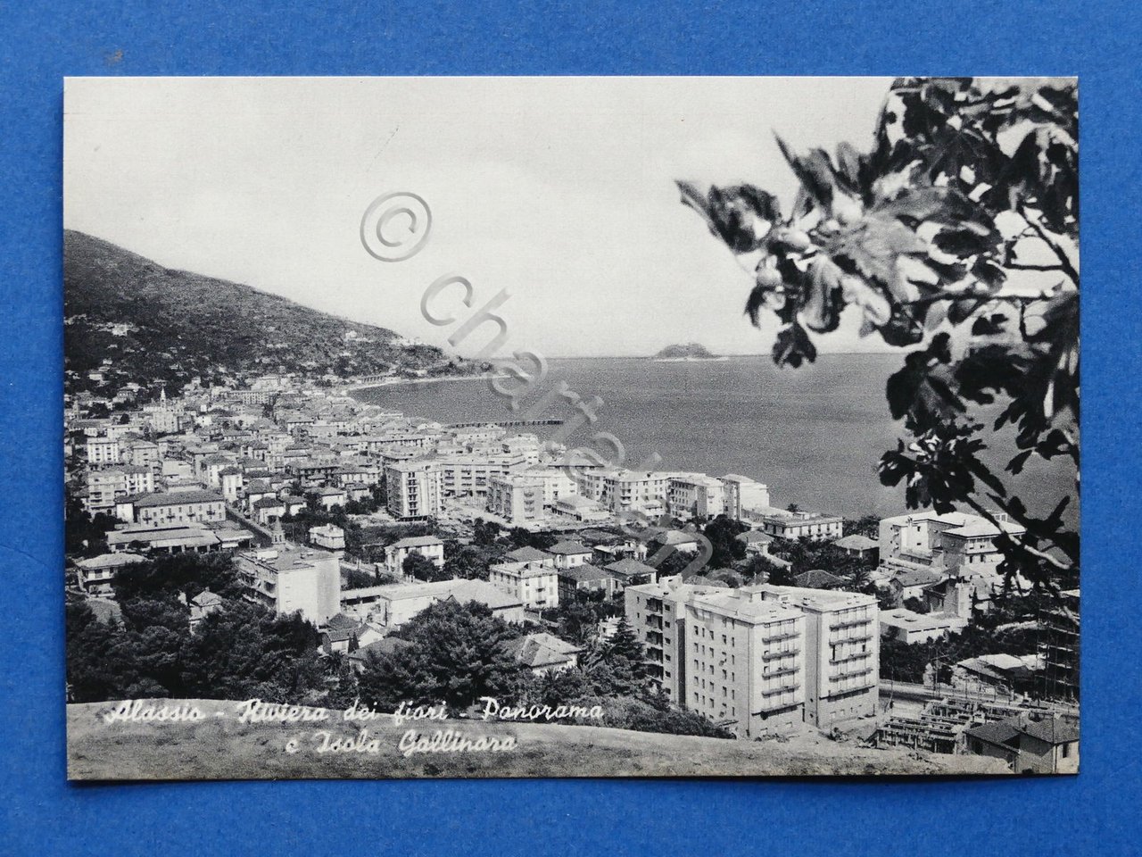 Cartolina Alassio - Panorama e Isola Gallinara - 1960 ca..