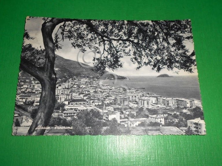 Cartolina Alassio ( Savona ) - Panorama 1956