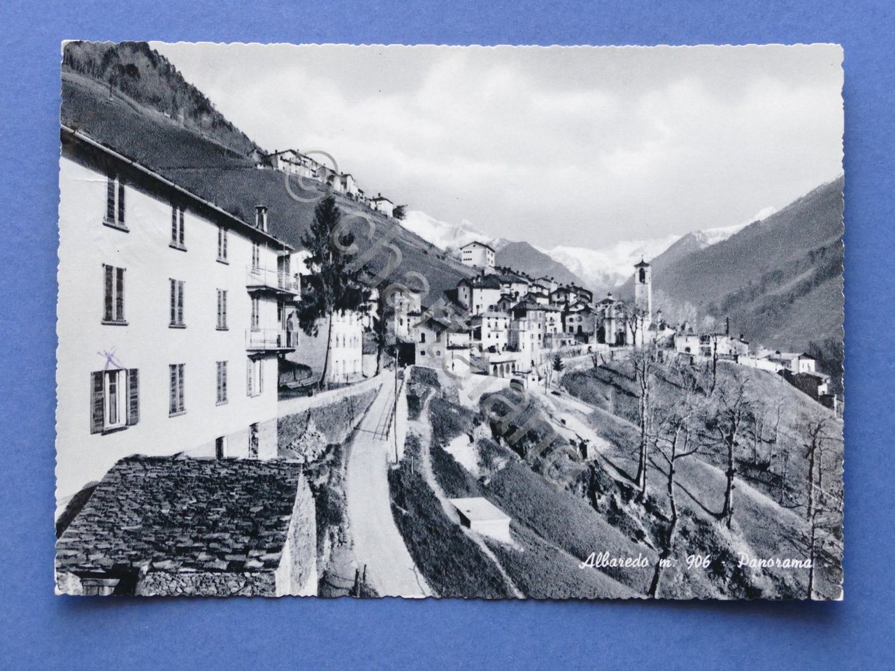 Cartolina Albaredo - Panorama - 1955 ca..