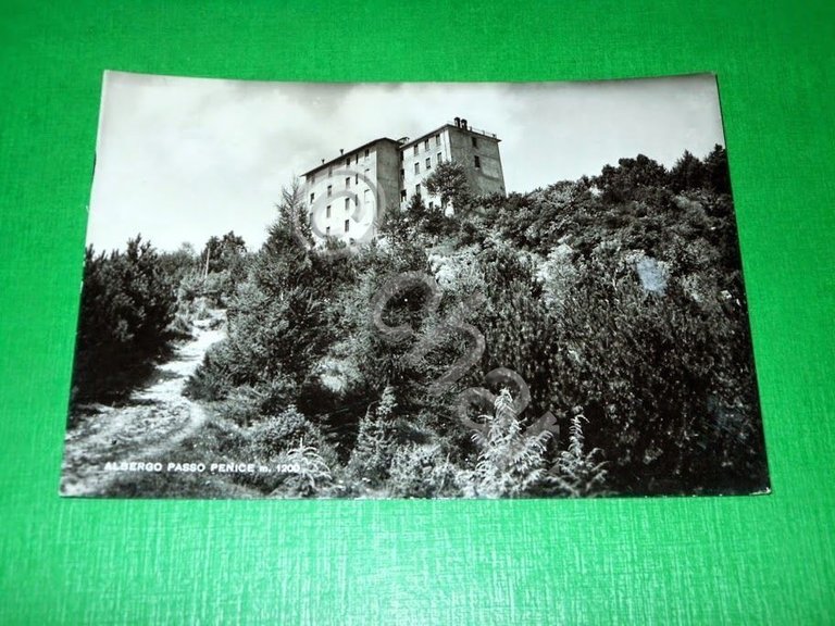 Cartolina Albergo Passo Penice - Veduta 1955 ca. | Immagine Gallery 2