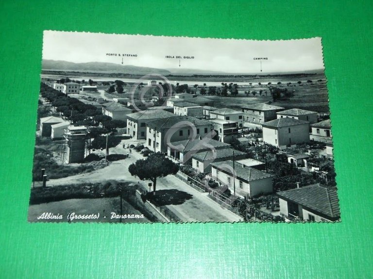 Cartolina Albinia ( Grosseto ) - Panorama 1957