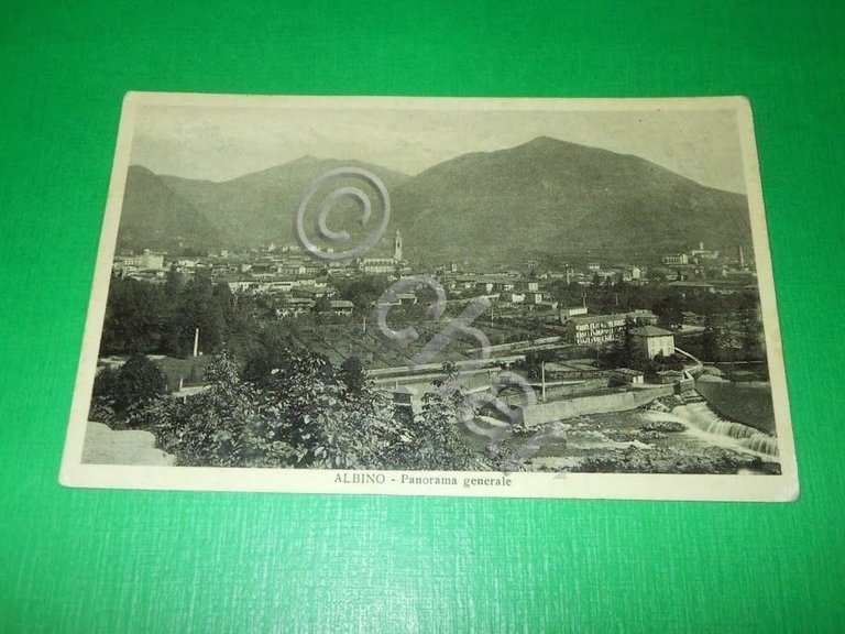 Cartolina Albino ( Bergamo ) - Panorama generale 1936