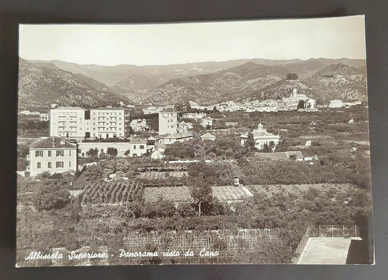 Cartolina Albissola Superiore - Panorama visto da Capo - 1951
