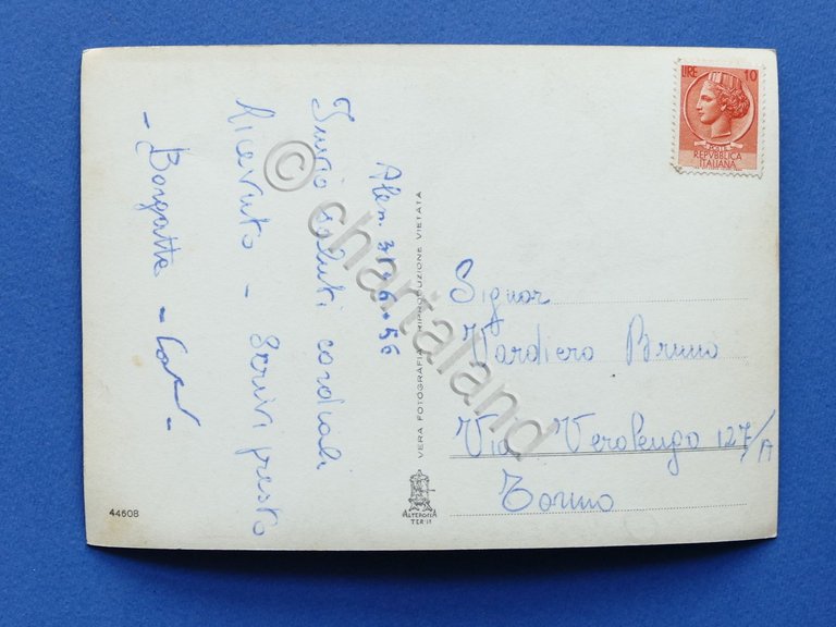 Cartolina Alessandria - Panorama . 1956